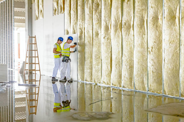 Best Energy Efficiency Solutions in Roselle Park, NJ